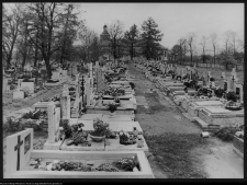 Kazuń Polski, kości&oacute;ł i cmentarz