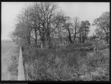 Kazuń Polski, cmentarz