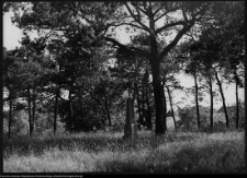 Sejny, cmentarz katolicki