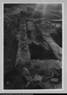 Wigry, zesp&oacute;ł klasztorno-kościelny (wykopy domku furtiana)