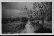 Wigry, teren dawnych ogr&oacute;dk&oacute;w eremit&oacute;w