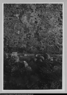 Wigry, zesp&oacute;ł klasztorno-kościelny (wykopy domku furtiana)