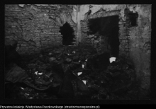 Wigry, zesp&oacute;ł klasztorno-kościelny (ruiny)