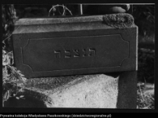 Białystok, cmentarz żydowski przy ul. Wschodniej