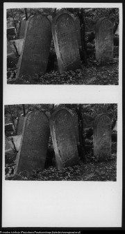 Białystok, cmentarz żydowski przy ul. Wschodniej