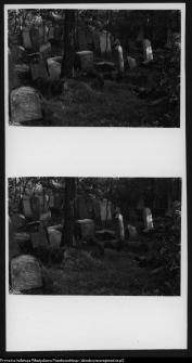 Białystok, cmentarz żydowski przy ul. Wschodniej