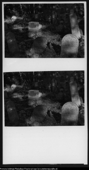 Białystok, cmentarz żydowski przy ul. Wschodniej