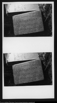 Białystok, cmentarz żydowski przy ul. Wschodniej