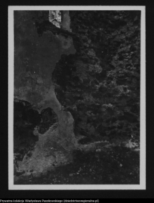 Wigry : zesp&oacute;ł klasztorno-kościelny