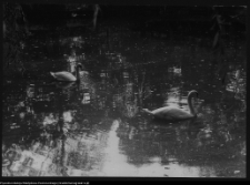 Białystok, Park Planty