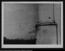 Wigry : zesp&oacute;ł klasztorno-kościelny