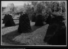 Osowa, torfowisko w pobliżu stanowisk archeologicznych