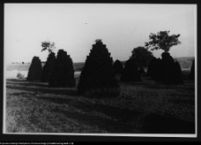 Osowa, torfowisko w pobliżu stanowisk archeologicznych