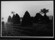 Osowa, torfowisko w pobliżu stanowisk archeologicznych