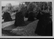 Osowa, torfowisko w pobliżu stanowisk archeologicznych