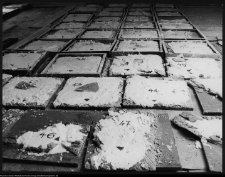 Ornamentyka ścienna i sufitowa