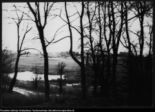 Krajobraz antropo-kulturowy