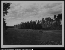 Krajobraz antropo-kulturowy