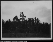 Krajobraz antropo-kulturowy