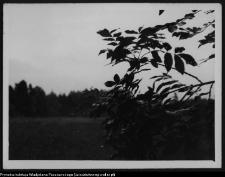 Krajobraz antropo-kulturowy