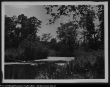 Krajobraz antropo-kulturowy