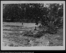 Krajobraz antropo-kulturowy