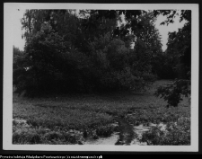 Krajobraz antropo-kulturowy