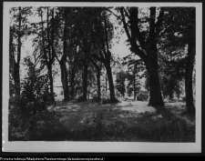 Krajobraz antropo-kulturowy