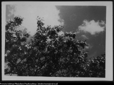 Krajobraz antropo-kulturowy