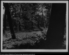 Krajobraz antropo-kulturowy