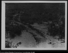 Krajobraz antropo-kulturowy