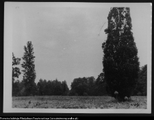 Krajobraz antropo-kulturowy