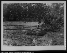 Krajobraz antropo-kulturowy