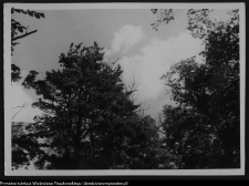 Krajobraz antropo-kulturowy