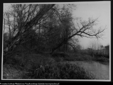 Krajobraz antropo-kulturowy