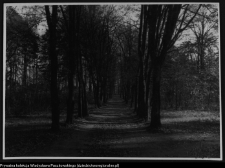 Krajobraz antropo-kulturowy