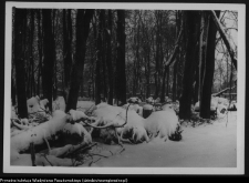 Krajobraz antropo-kulturowy