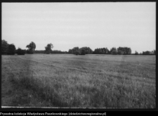 Krajobraz antropo-kulturowy