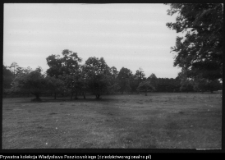 Krajobraz antropo-kulturowy