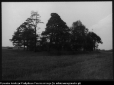 Krajobraz antropo-kulturowy