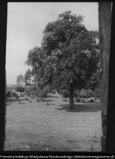 Krajobraz antropo-kulturowy