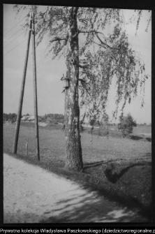 Krajobraz antropo-kulturowy