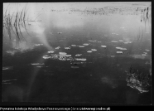 Krajobraz antropo-kulturowy