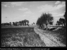 Krajobraz antropo-kulturowy