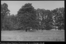 Krajobraz antropo-kulturowy