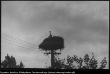 Krajobraz antropo-kulturowy