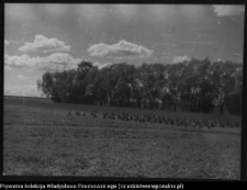 Krajobraz antropo-kulturowy