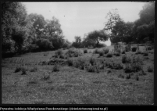 Krajobraz antropo-kulturowy