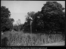 Krajobraz antropo-kulturowy