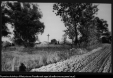 Krajobraz antropo-kulturowy